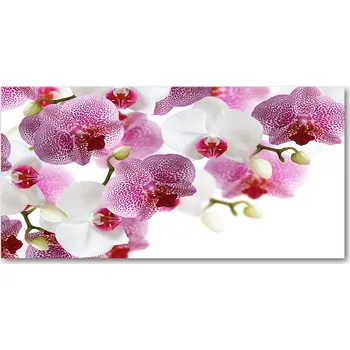 Obraz Kuchyňský panel mezi skříňky Orchidej 100x50 cm + LEPIDLO