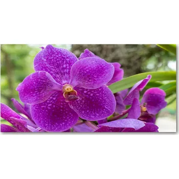Obraz Panel mezi kuchyňský nábytek Orchidej 140x70 + LEPIDLO