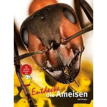 Příroda Entdecke die Ameisen - Klinger, Ralf