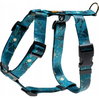 Postroj pro psa Elegantní obojky pro psa. Zlaté kování. Vzor Fenrir - Hauki - velikost XS