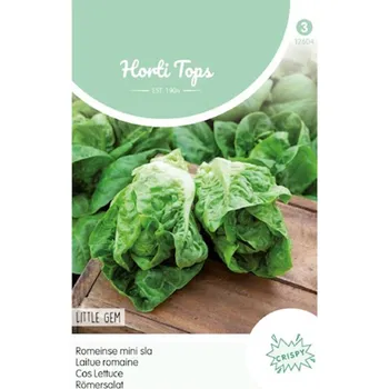Sazenice Semená - SALÁT RÍMSKY ´LITTLE GEM´