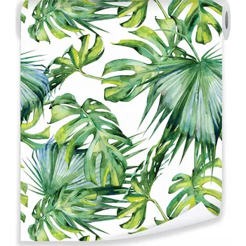 Fototapeta Tapeta s motivem listů monstery na zeď