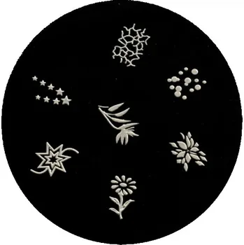 Šablona Destička na nehty pro razítkování nehtů - B047