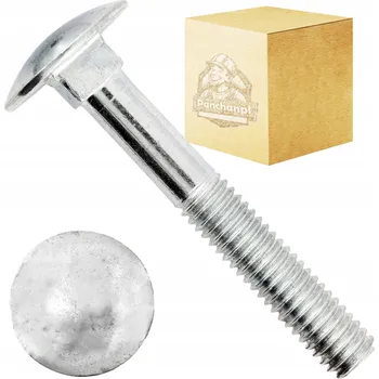 Šroub PanChanPL ŠROUB ZÁMKOVÝ S HLAVOU HRUBOVOU DIN603 TŘ. 8.8 POZINK M6X45 100 KS