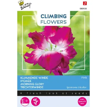 Semeno Semena - POVÍJNICE ´PINK MORNING GLORY´