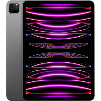 Tablet Tablet Apple iPad Pro 11" (4th Gen) 11" 16 GB / 2 TB šedý