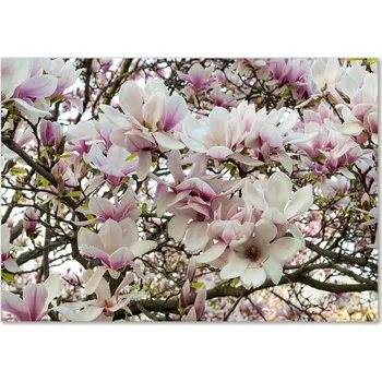 Obraz Skleněný panel 70 x 100 x 4 mm tvrzené sklo broušené bílý