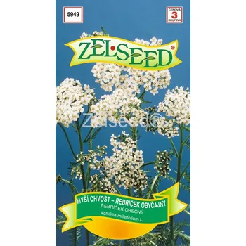 Řebříček obecný 12/2024