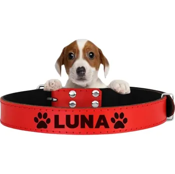 Obojek pro psa KOŽENÝ OBOJEK S GRAVÍROVÁNÍM PRO PSA KOČKU ADRESÁŘ, VELIKOST L 33-43 cm