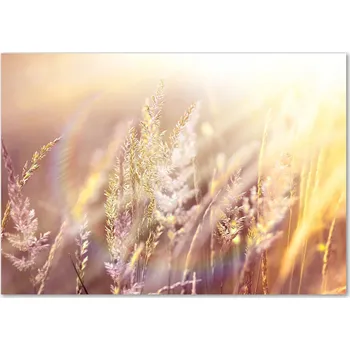 Obraz Skleněný panel Wallmuralia 70x100 cm tvrzené sklo hnědo-béžový