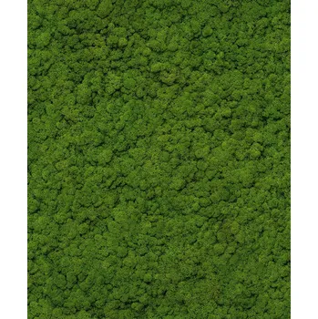 Tapeta ZELENÁ TAPETA IMITUJÍCÍ MECH ROSTLINNÁ VINYLOVÁ NA VLIESU