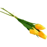 Svazek 3 ks tulipánů 50 cm