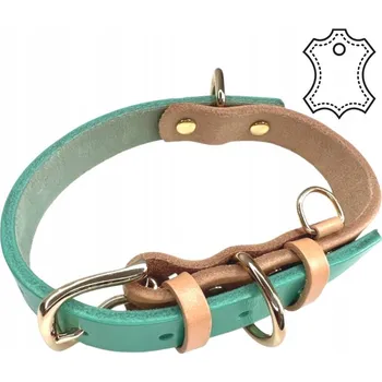 Obojek pro psa OBROŽA pro psa z přírodní kůže Loopy máta L