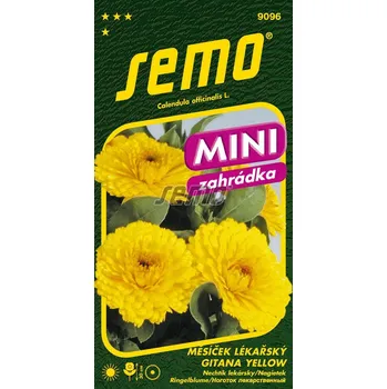 Semeno Měsíček lékařský Gitana Yellow (nízký, žlutý) 12/2024