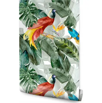Fototapeta Tapeta Barevní Ptáci Malované Listy Tropické