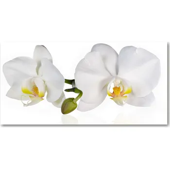 Obraz Panel mezi kuchyňský nábytek Orchidej 140x70 + LEPIDLO