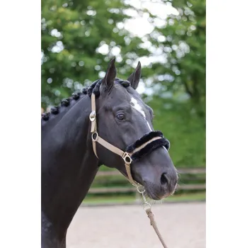 Jezdecké sedlo Ohlávka nylonová Covalliero ClassicSoft, cappuccino Velikost: Pony