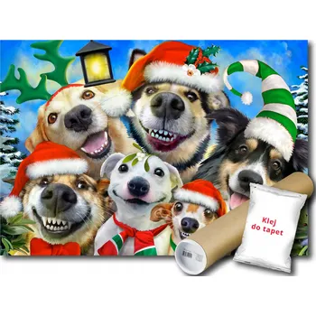 Fototapeta Vliesová fototapeta 254x184 Legrační psi v zimě - Selfie + lepidlo