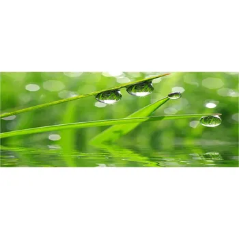 Obraz Lacobel pod linku do kuchyně Kapky na trávě XXL