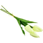 Svazek 3 ks tulipánů 50 cm