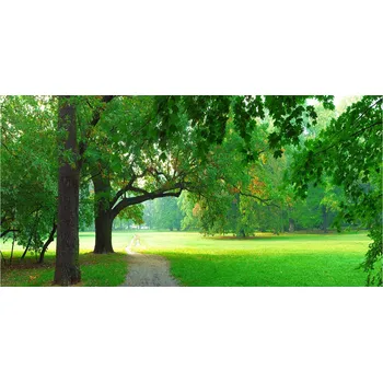 Obraz Kuchyňský panel Park na podzim 100x50 cm + LEPIDLO