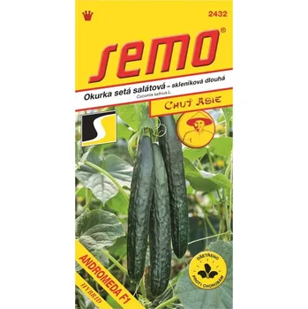 SEMO okurka salátová ´ANDROMEDA F1´