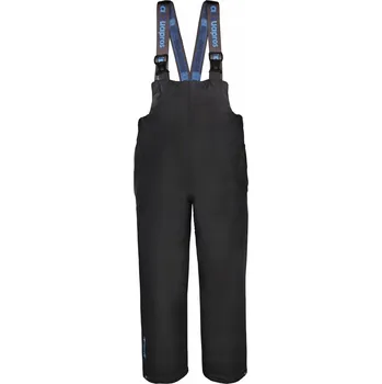 Obraz Ladérky Pros vel. S modré