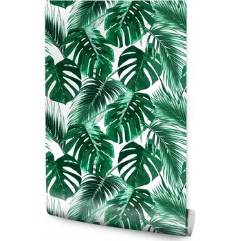 Tapeta Tapeta do ložnice LISTY Palmy Monstera Příroda
