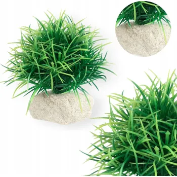 umělá květina Umělá rostlina TD Stones 8 x 8 x 8 cm