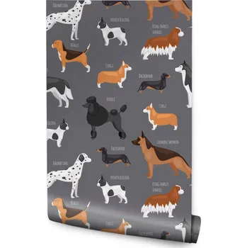 Fototapeta Tapeta do dětského pokoje Barevné PEJSCI Nápisy