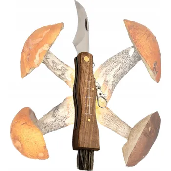 Kuchyňský nůž NŮŽ SKLÁDACÍ HOUBAŘSKÝ NŮŽ S MĚŘÍTKEM, ŠTĚTEČKEM A KARABINOU