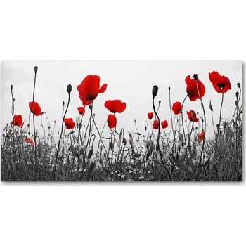 Obraz Nástěnný panel tvrzené sklo Maki 120x60cm + LEPIDLO