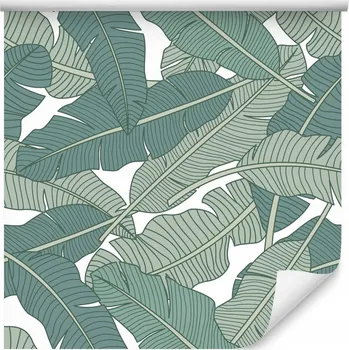 Fototapeta Tapeta do obýváku minimalistické TROPICKÉ listy