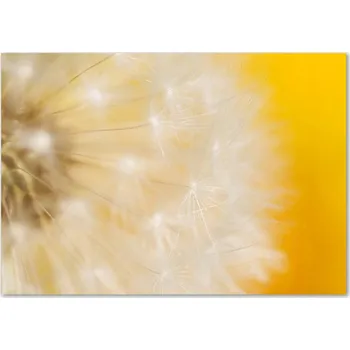 Obraz Skleněný panel Wallmuralia 70x100 cm tvrzené sklo žlutý