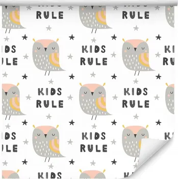 Tapeta Tapeta do dětského pokoje pastelové sovy hvězdy