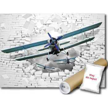 Fototapeta FOTOTAPETA LETADLO NA ZEĎ 17A FXL 208x146 F10407