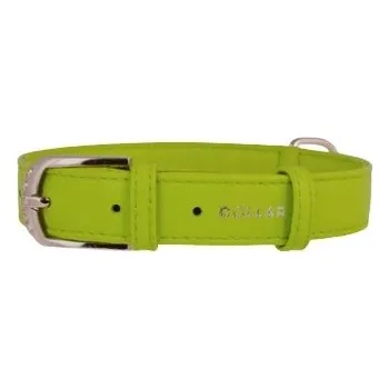 Obojek pro psa Kožený obojek pro psa klasický Collar vel. L