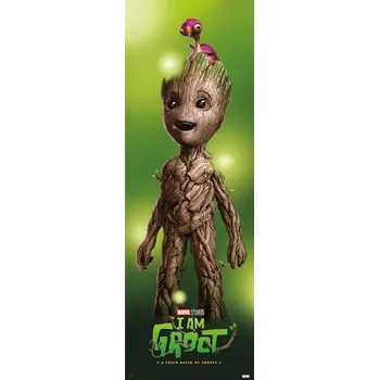 Obraz Plakát 53 x 158 cm