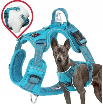 Postroj pro psa Postroj pro psa MONTANA typu guard, SILNÝ a odolný, PREMIUM Lalazoo - tyrkysový, velikost S