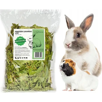 Krmivo pro hlodavce Pampeliška Listy Bylinky pro Králíka Hlodavce Přírodní Čerstvé EKO PAMLSEK 100G