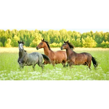 Obraz Kuchyňský panel Cválající koně 140x70 cm + LEPIDLO