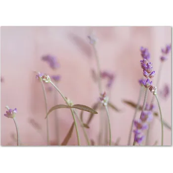 Obraz Skleněný panel 70 x 100 x 4 mm z tvrzené sklo, broušený, v odstínech hnědé a béžové