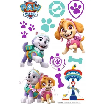 Obraz Nástěnná dekorace Tlapková patrola, motiv - Skye, Everest / PĚNA