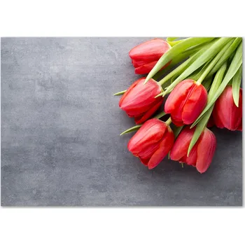 Obraz Skleněný panel 70 x 100 x 4 mm tvrzené sklo broušené červený