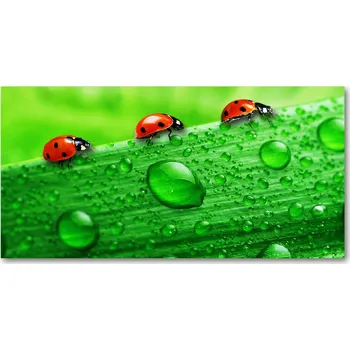 Obraz Skleněný panel Lacobel Berušky v trávě 140x70 cm + LEPIDLO