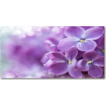 Obraz Ochranný panel Květy šeříku 100x50 cm + LEPIDLO