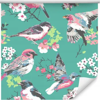 Fototapeta Tapeta - Pestrobarevní ptáci /172442051