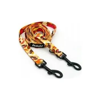 Obraz Vodítko pro psa Ježek Snílek 220 cm