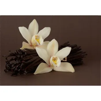 Obraz Skleněný panel 70 x 100 x 4 mm tvrzené sklo broušené bílý