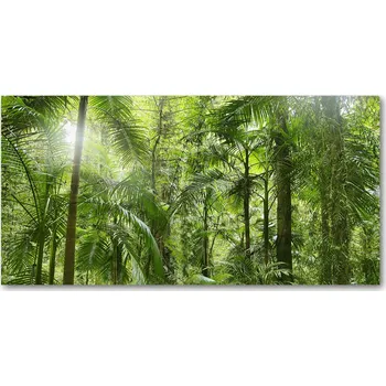 Obraz Kuchyňský panel Tropický les 100x50 cm + LEPIDLO